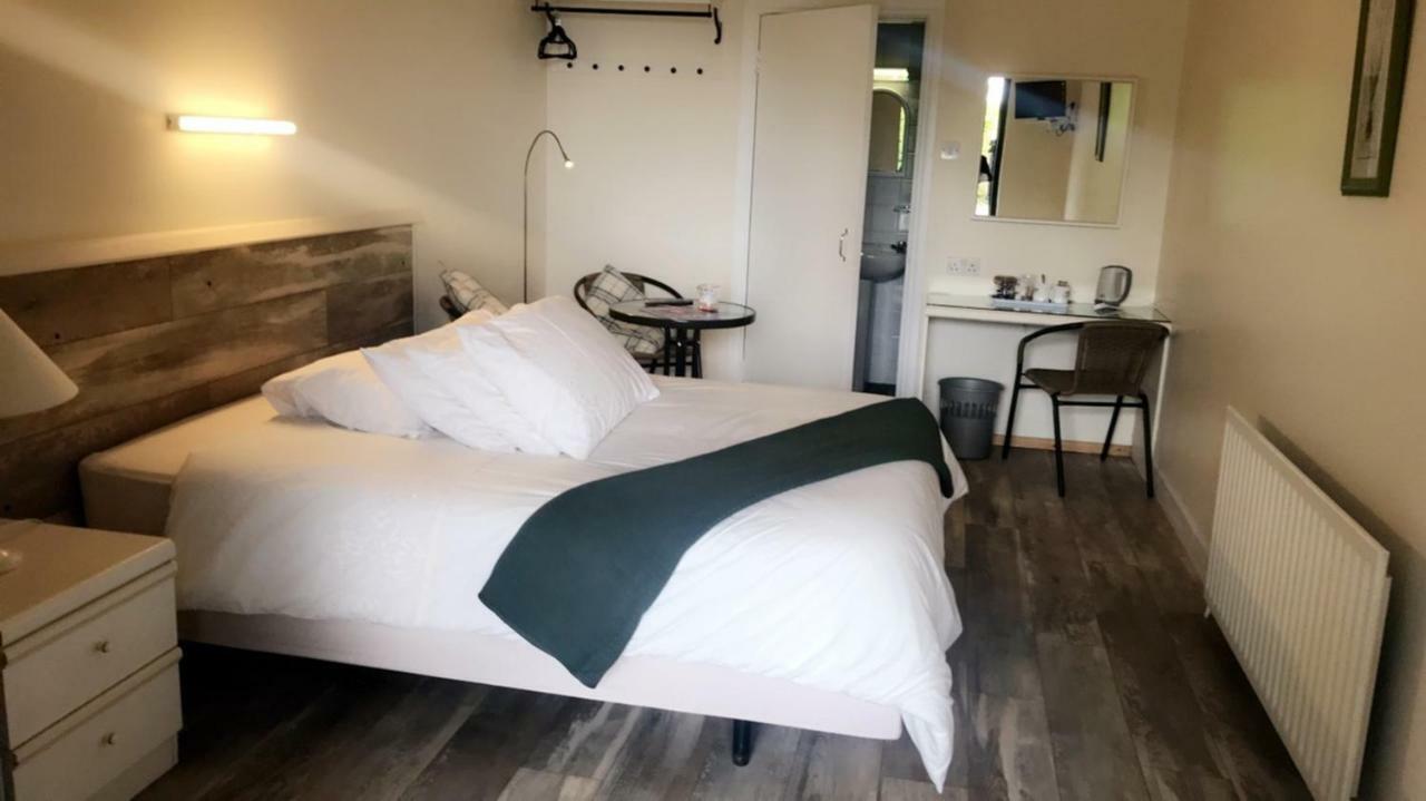 Wildwood Lodge Carlingford Eksteriør billede